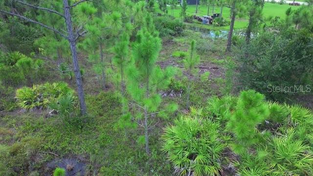 28072 CRESTWOOD DRIVE, PUNTA GORDA, FL — photo 5 of 15