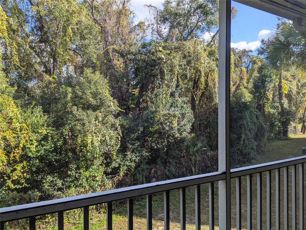 A view of a dense, wooded backyard from a screened-in porch with white railings — 5956 WESTGATE DRIVE UNIT 203, ORLANDO, FL