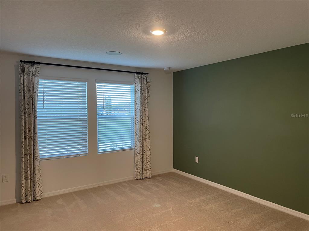 A bedroom features beige carpet, white walls, and a single olive green accent wall — 4590 CALVARY WAY, ST CLOUD, FL