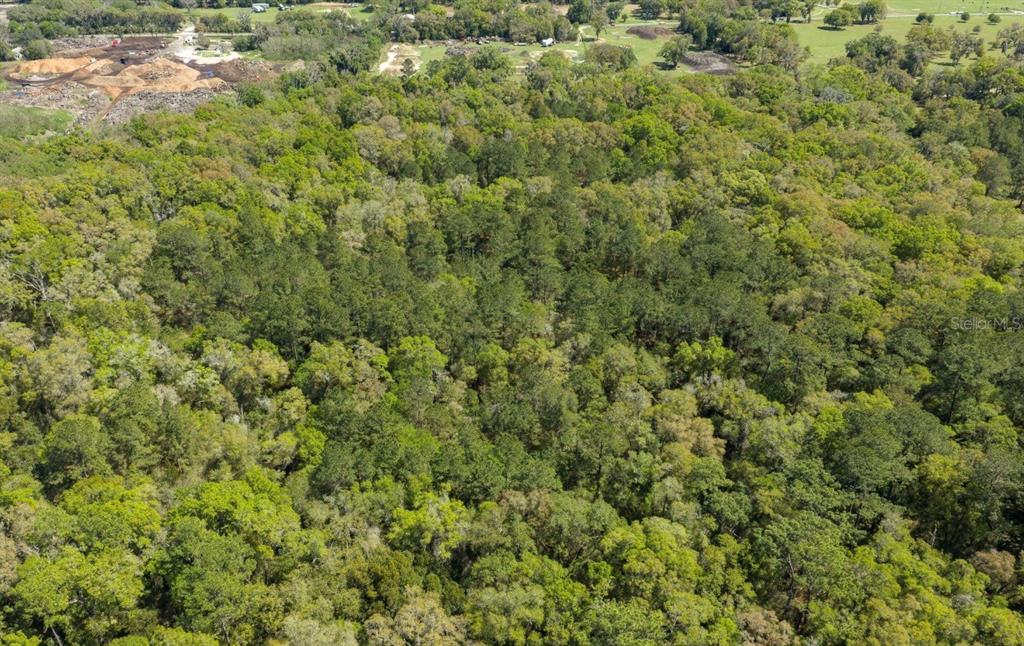 An aerial view shows a dense, wooded forest area with a cleared patch in the distance — NW 38TH AVENUE ROAD, OCALA, FL
