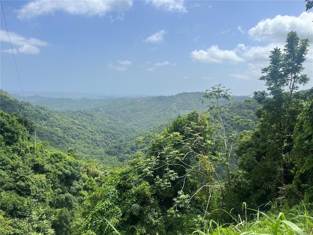 A scenic view of lush green mountains under a blue sky with scattered clouds — KM 19.9 CARR 128, YAUCO, PR