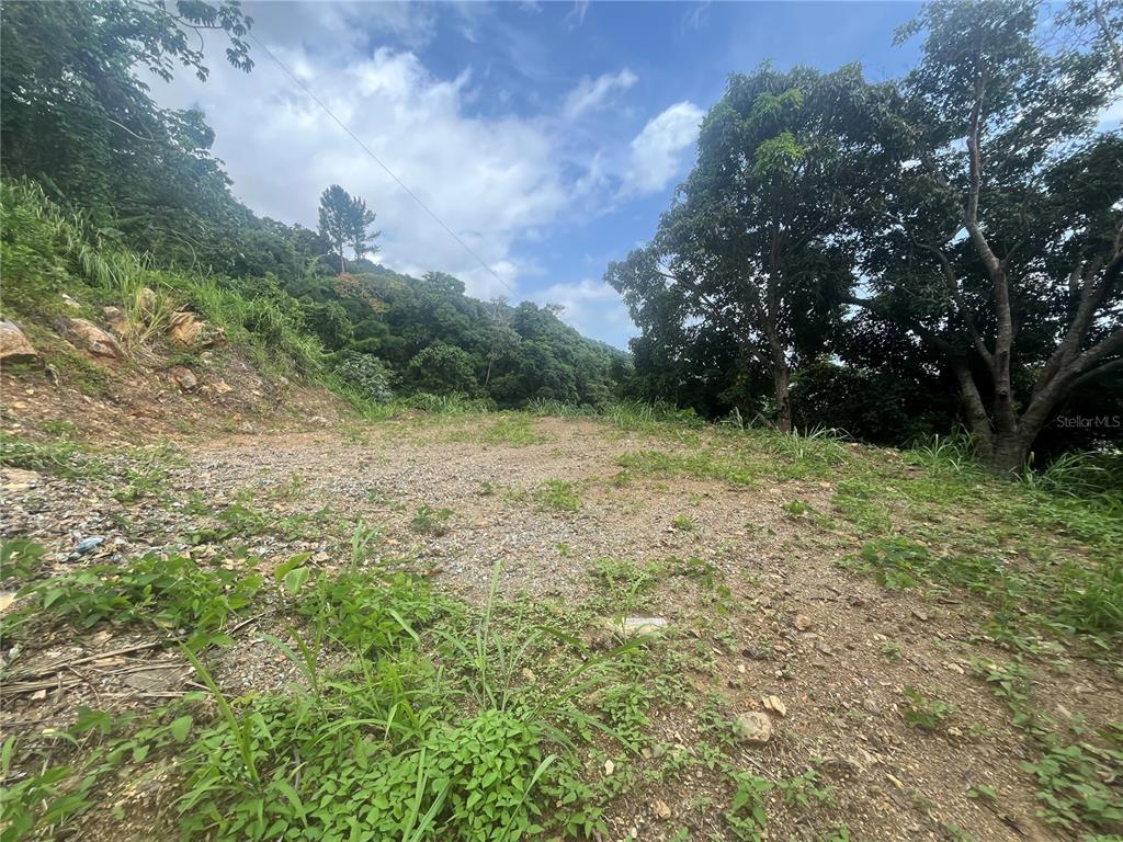 A gravel-covered lot sits at the base of a steep, tree-covered hillside — KM 19.9 CARR 128, YAUCO, PR