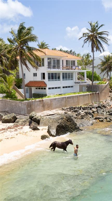 A man leads a horse through the shallow water in front of a coastal house — 294 BRAVOS DE BOSTON, VIEQUES, PR