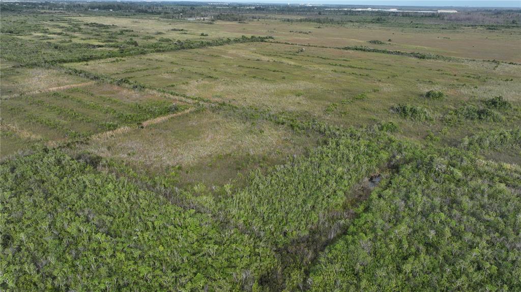 An aerial view of a large, undeveloped grassy field with patches of dense green shrubs — SOUTHWEST 382ND STREET, HOMESTEAD, FL