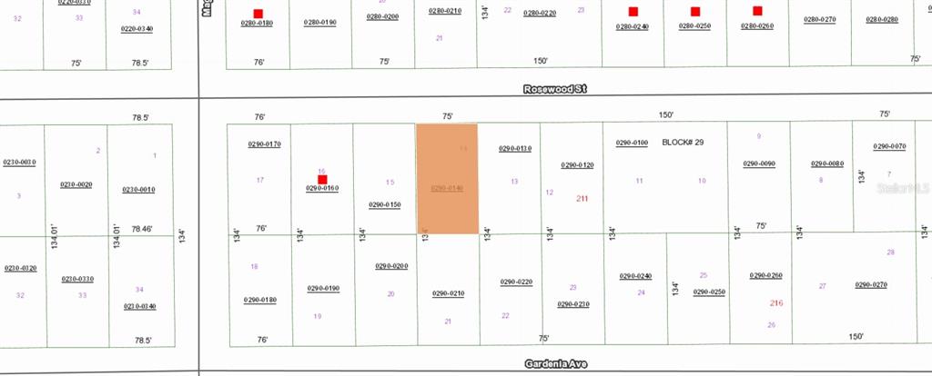 This is a property tax map showing parcel boundaries, lot dimensions, and street names — 207 ROSEWOOD STREET, GEORGETOWN, FL