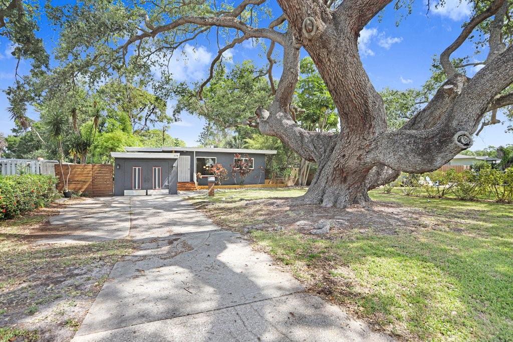 779 BAYOU BLVD S