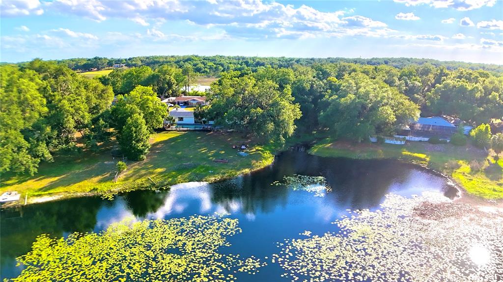 An aerial view shows a house with a pool situated beside a lily-covered pond — 36245 E SPRING LAKE BOULEVARD, FRUITLAND PARK, FL