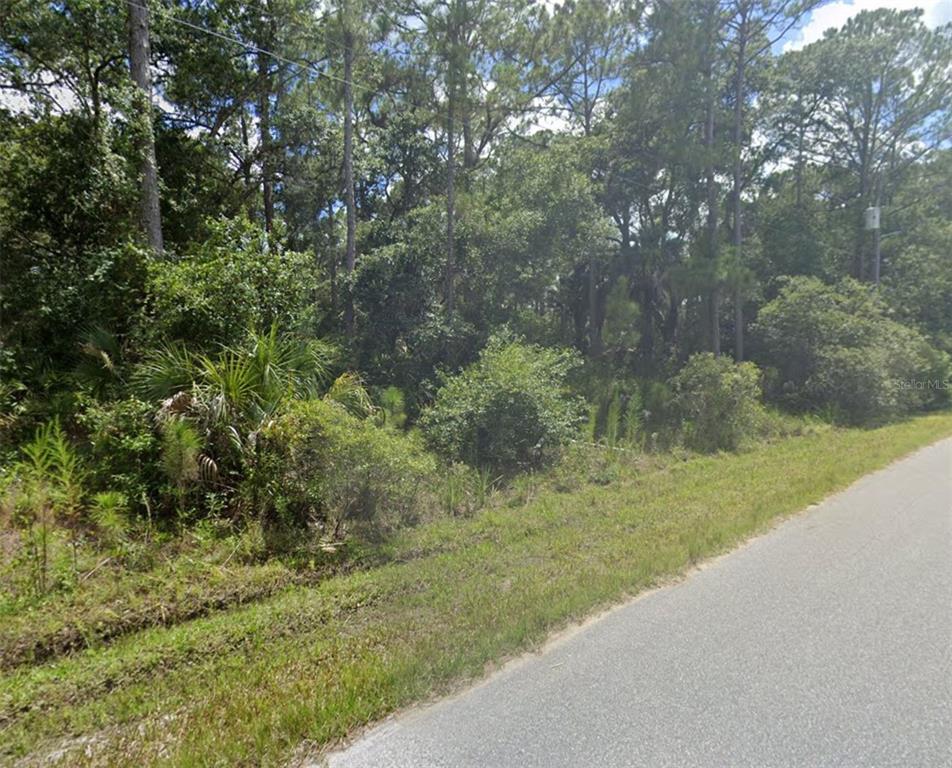 A view of a wooded, undeveloped lot bordering a paved road — Lot 15 LOVERING AVENUE, NORTH PORT, FL