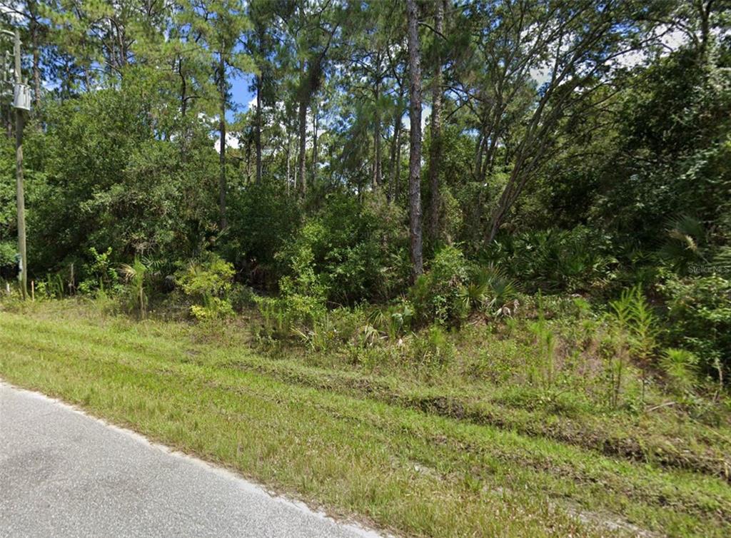 A view of a wooded, undeveloped plot of land adjacent to a paved road — Lot 15 LOVERING AVENUE, NORTH PORT, FL