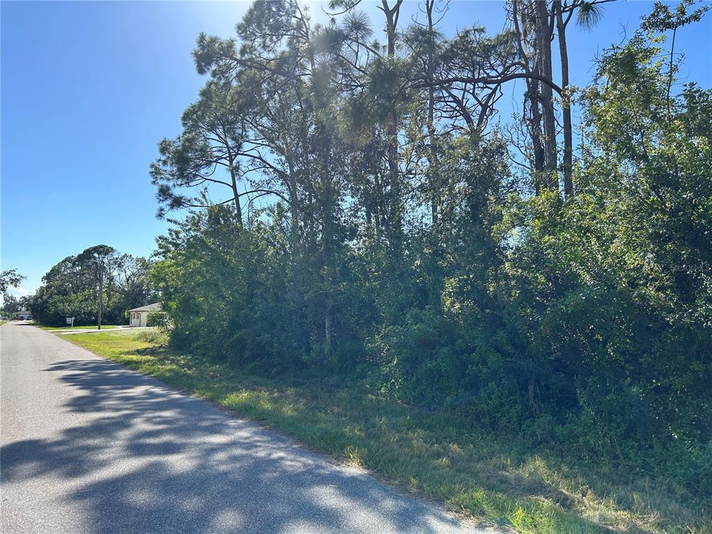 A paved road runs alongside a wooded lot with tall pine trees and dense vegetation — 168 CAPATOLA STREET, PORT CHARLOTTE, FL