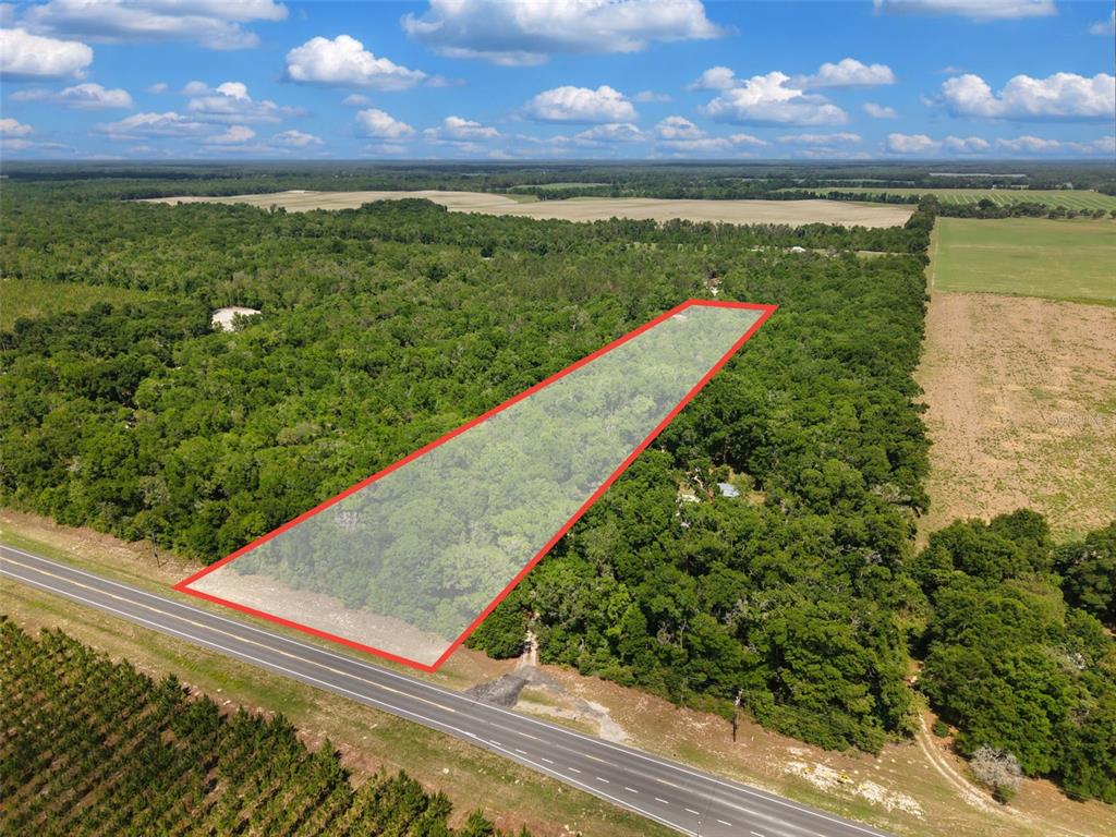An aerial view shows a rectangular plot of wooded land outlined in red beside a road — Lot 3 N STATE RD 129, BRANFORD, FL