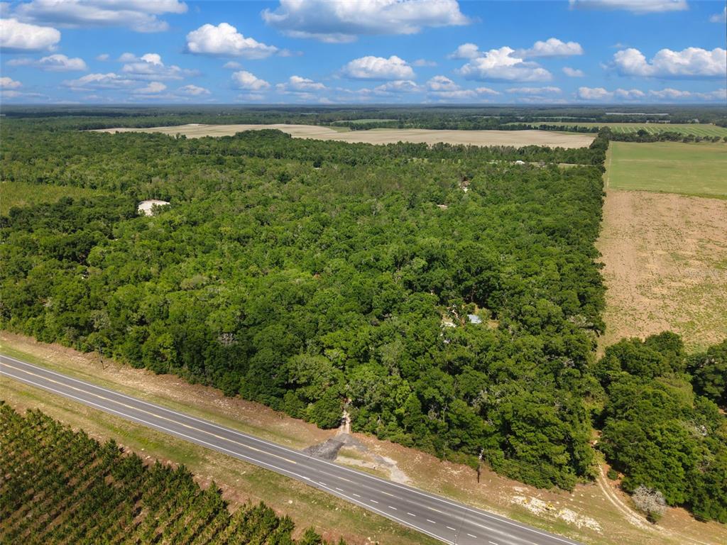 An aerial view shows a dense forest bordered by a road and open agricultural fields — Lot 3 N STATE RD 129, BRANFORD, FL