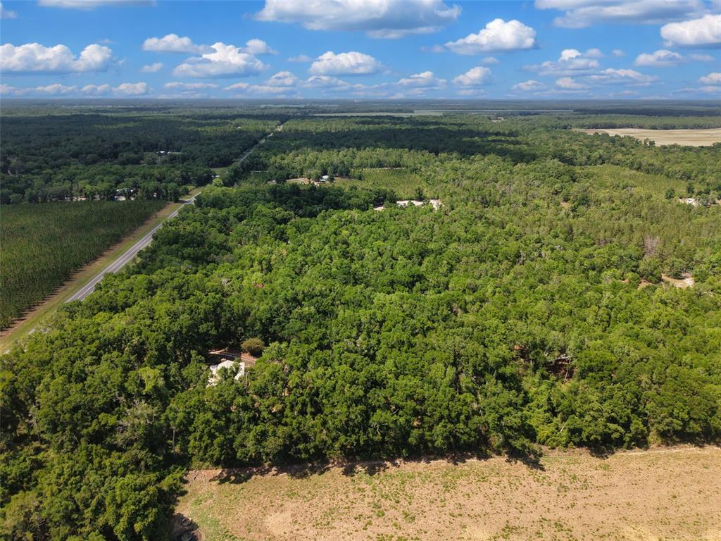 An aerial view shows a house nestled within a large, dense forest near a road — Lot 3 N STATE RD 129, BRANFORD, FL