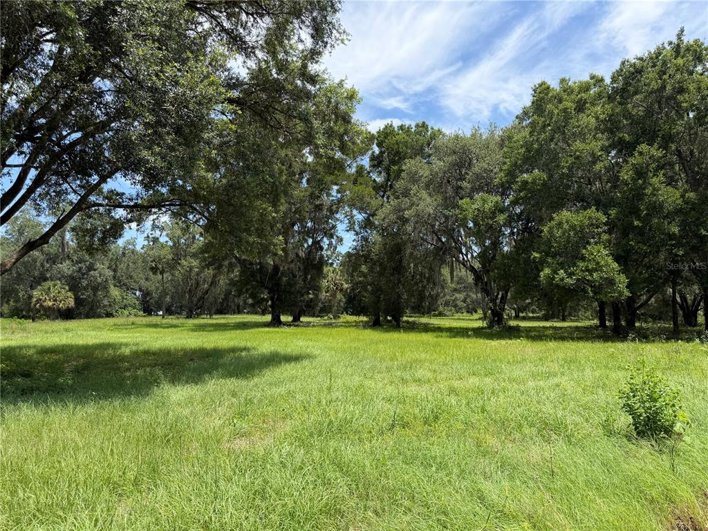 TBD NW 329, REDDICK, FL — photo 2 of 9