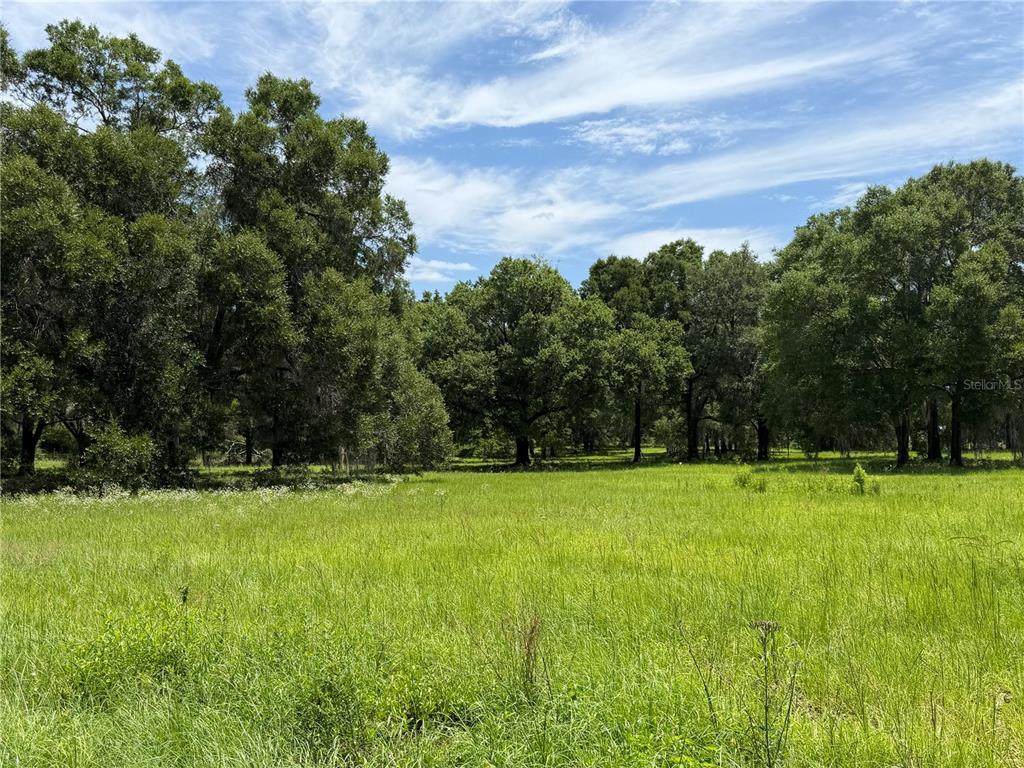 TBD NW 329, REDDICK, FL — photo 4 of 9