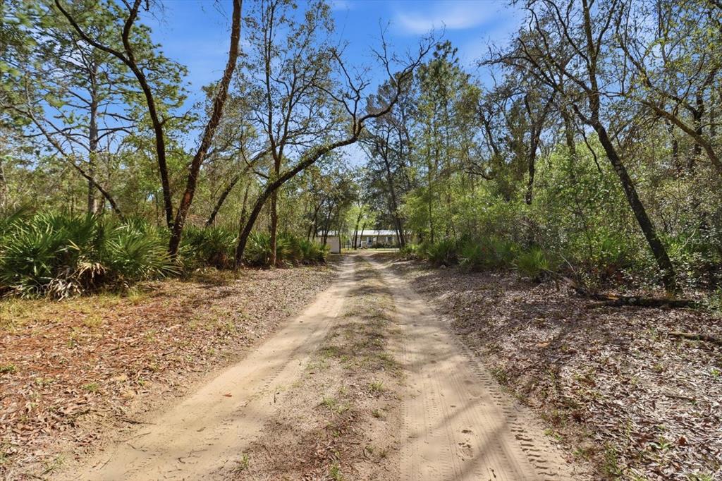 A dirt driveway leads through a wooded area toward a house in the distance — 4950 W MOCKINGBIRD STREET, HOMOSASSA, FL
