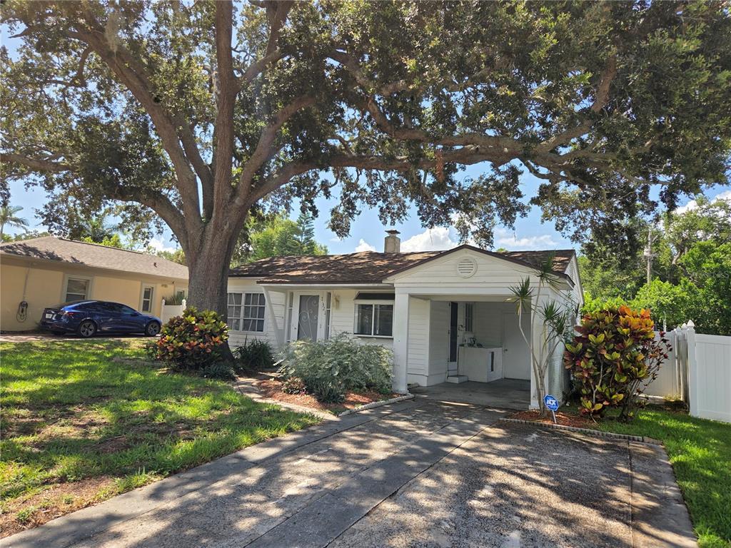 A single-story house with a carport, a large oak tree, and a concrete driveway — 321 WILDWOOD WAY, BELLEAIR, FL