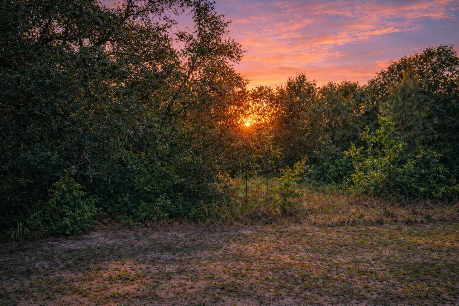 The sun sets behind a dense line of trees bordering a grassy, open field — 4375 SW 194th Avenue, FL 34432, FL