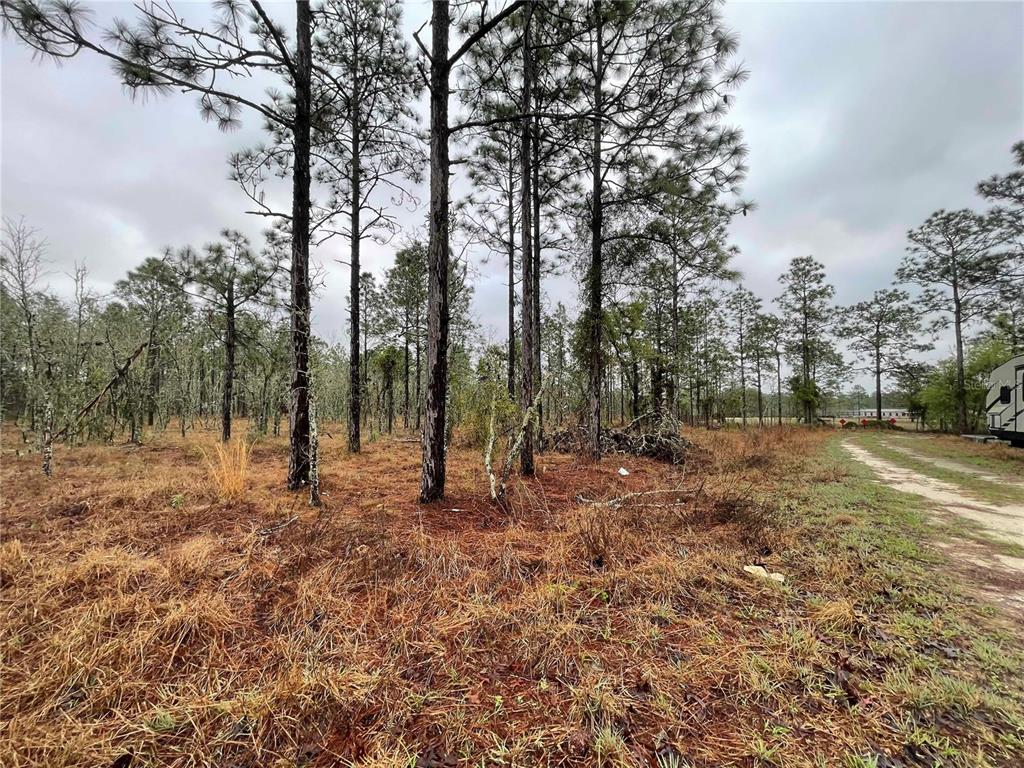 TBD SE 71 STREET, MORRISTON, FL — photo 5 of 6