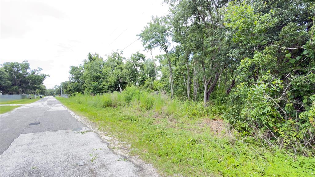 A paved road runs alongside a wooded, undeveloped lot with dense trees and vegetation — 7402 LAND DRIVE, WESLEY CHAPEL, FL