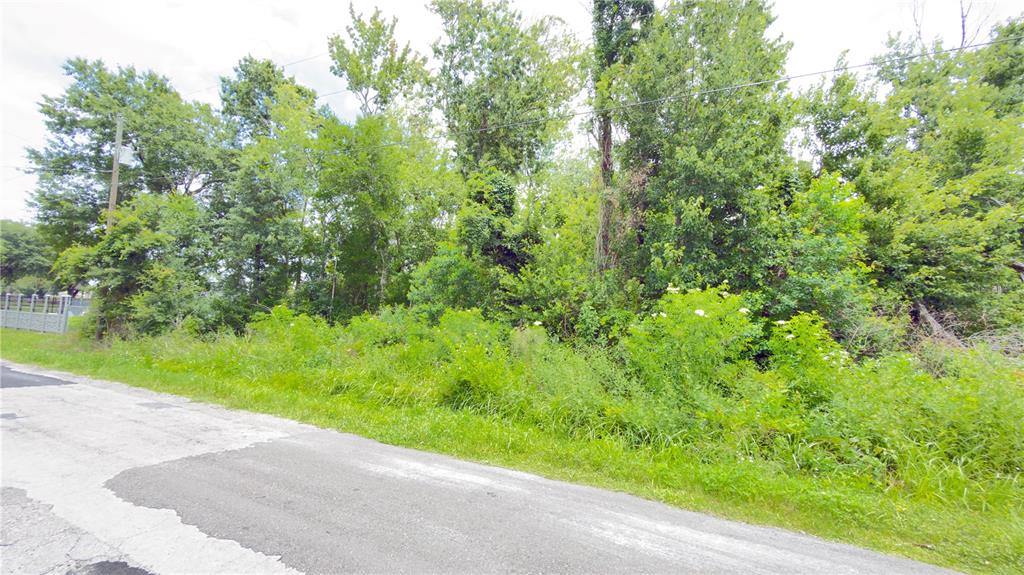 A view of a vacant, wooded lot bordered by a paved road — 7402 LAND DRIVE, WESLEY CHAPEL, FL