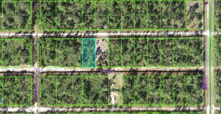 This is an aerial map showing a highlighted rectangular land parcel among wooded lots — 417 AZALEA DRIVE, INDIAN LAKE ESTATES, FL