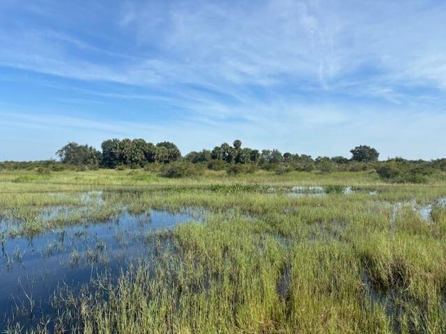 A grassy wetland area with patches of water and a treeline under a blue sky — 0 NW 308th Street, Okeechobee FL 34972, OKEECHOBEE, FL