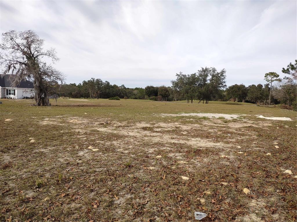 A wide, grassy vacant lot features scattered patches of sand and a large, mossy tree — 6400 SW 180 CIRCLE Lot 29, DUNNELLON, FL