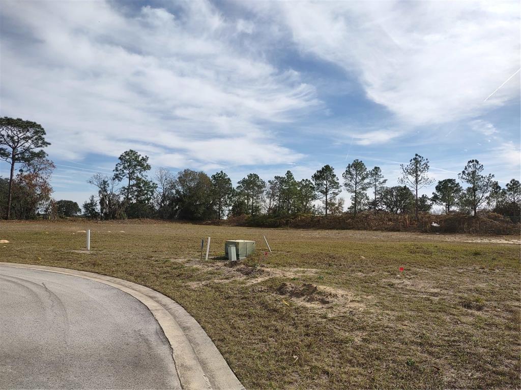 A vacant, grassy residential lot features a utility box and a curved paved road — 6400 SW 180 CIRCLE Lot 29, DUNNELLON, FL