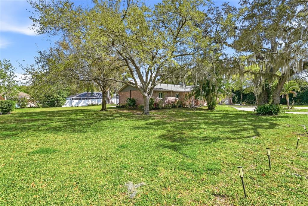 A single-story brick house sits on a large grassy lot shaded by mature oak trees — 2817 FLEEMAN ROAD, PALM HARBOR, FL