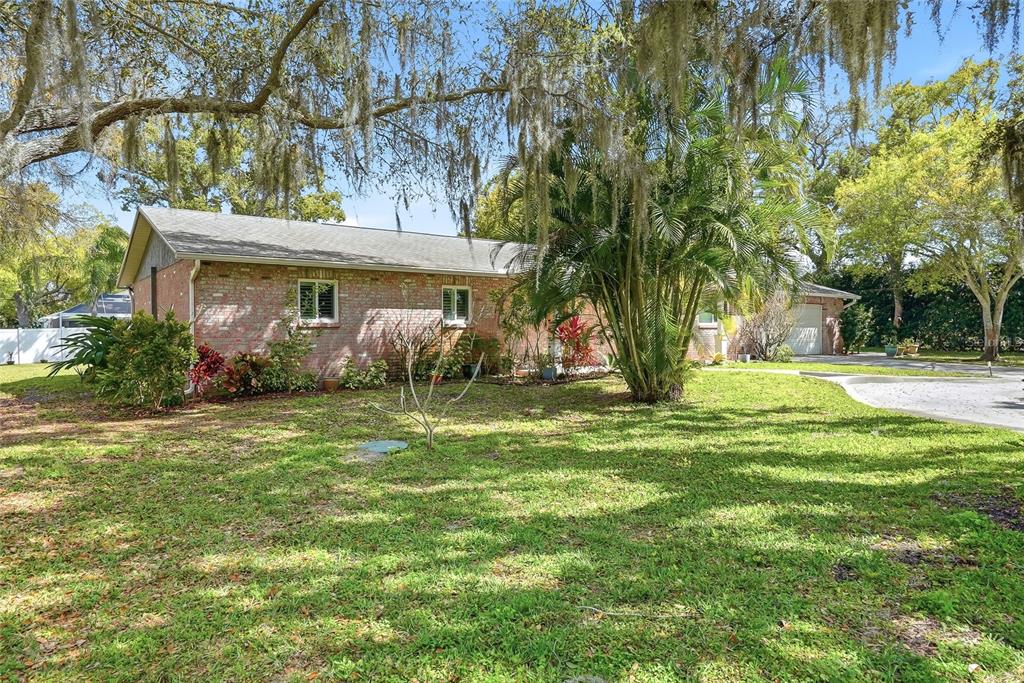 A single-story brick house with a large front yard and mature trees — 2817 FLEEMAN ROAD, PALM HARBOR, FL