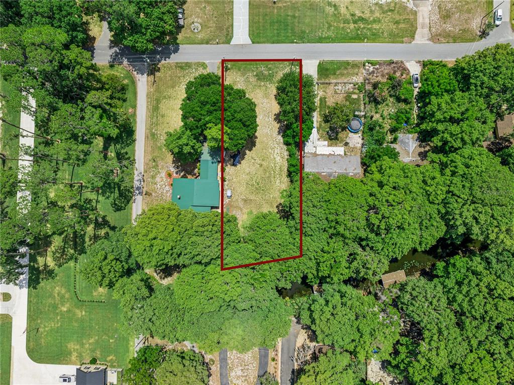 An aerial view shows a rectangular vacant lot outlined in red between two residential properties — COVE ROAD, TAVARES, FL