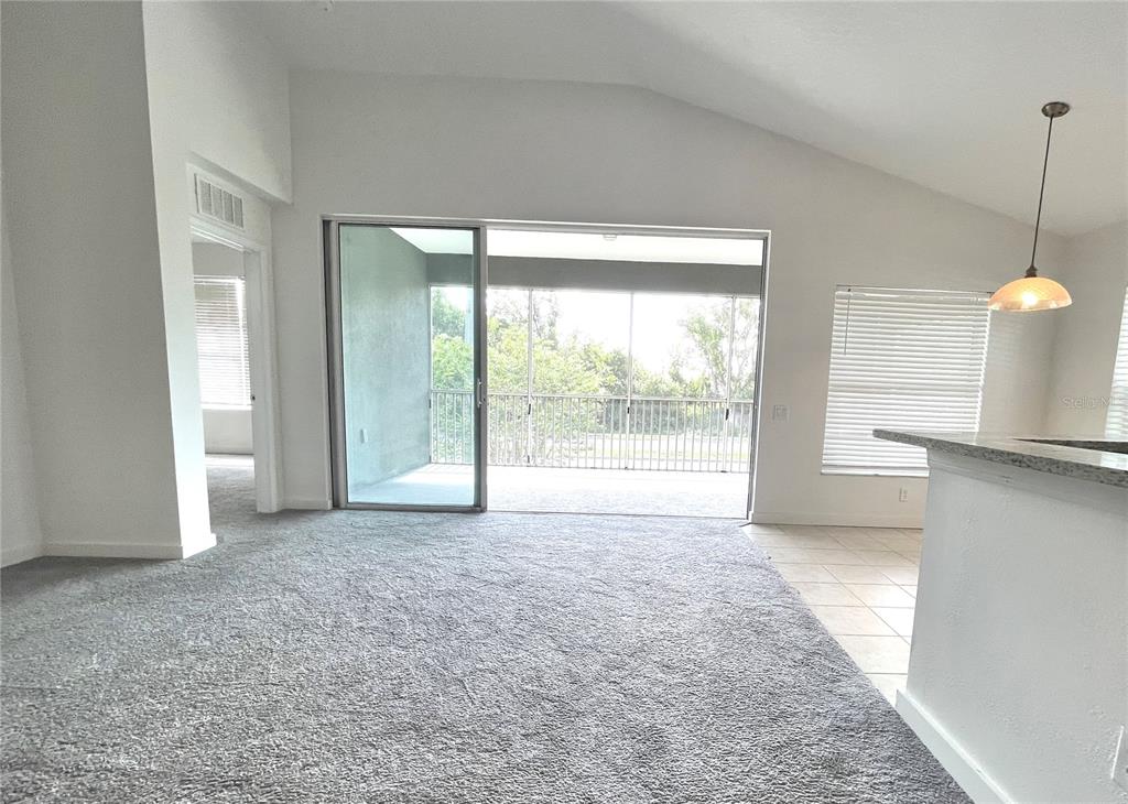 A living room with gray carpeting, a sliding glass door, and a screened-in balcony — 2096 KINGS PALACE DRIVE, RIVERVIEW, FL