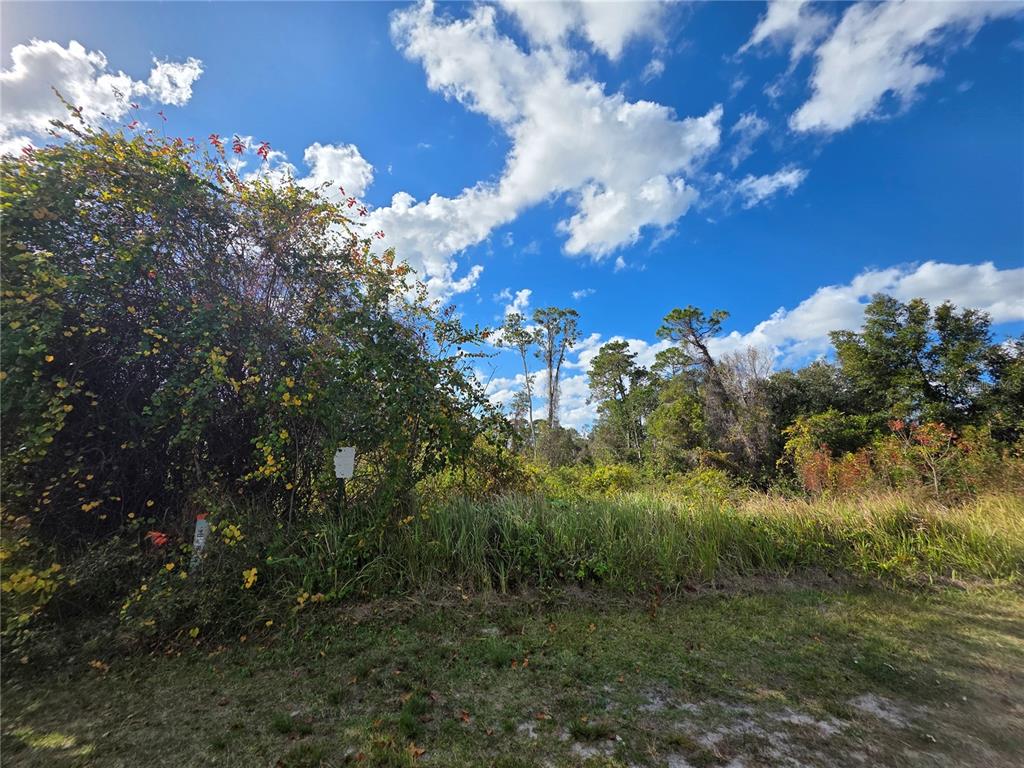 A vacant, overgrown lot with tall grasses, shrubs, and trees under a blue sky — 520 W KINGWAY DRIVE, DELTONA, FL