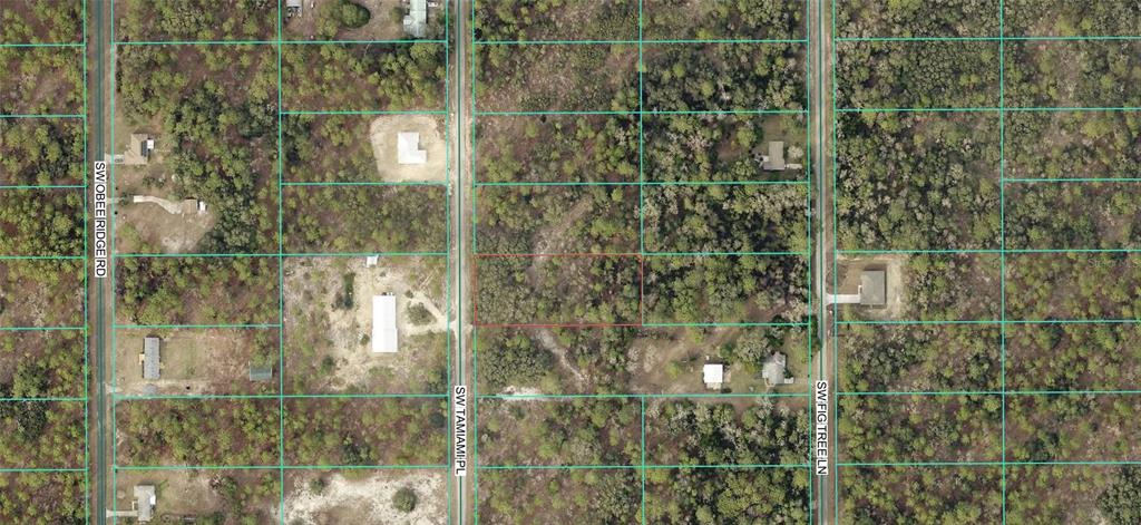 This is an aerial map showing a vacant, wooded rectangular lot outlined in red — 0 TBD SW TAMIAMI PLACE, DUNNELLON, FL