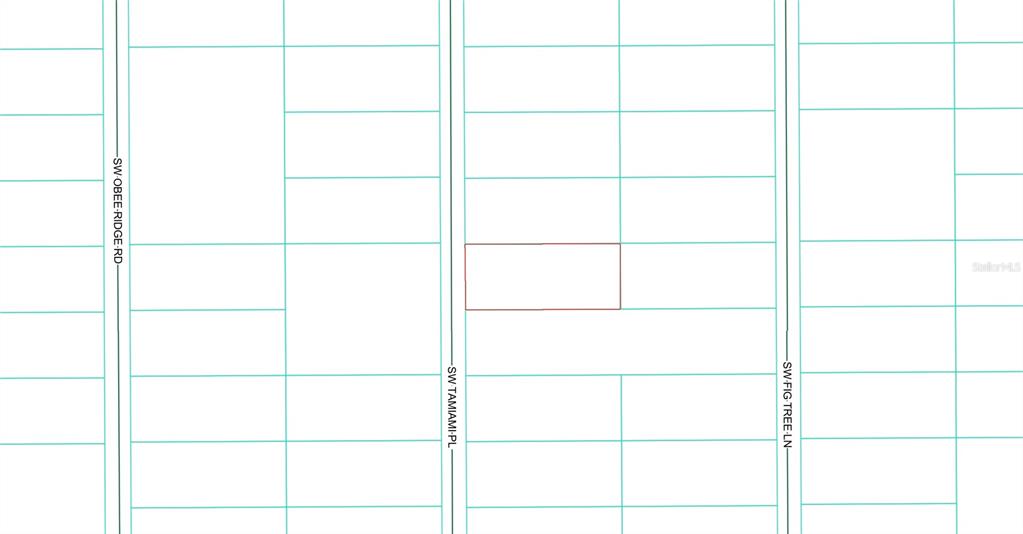 This is a plat map showing a rectangular property lot highlighted in red — 0 TBD SW TAMIAMI PLACE, DUNNELLON, FL