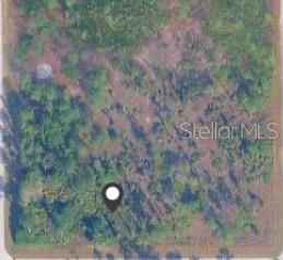 This is an aerial view of a wooded, undeveloped plot of land — 3703 E 9TH STREET, LEHIGH ACRES, FL