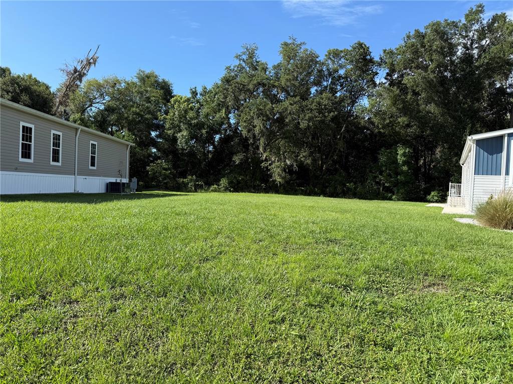 A grassy yard sits between two manufactured homes with a line of trees in the background — MONET DRIVE, ZEPHYRHILLS, FL