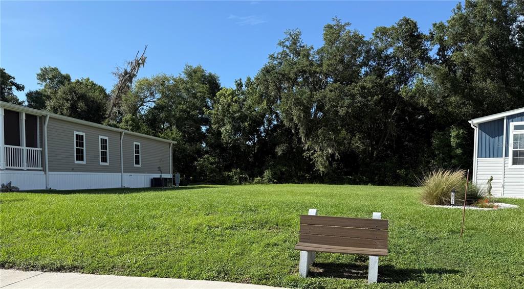 A wooden bench sits on a grassy lawn between two manufactured homes near dense trees — MONET DRIVE, ZEPHYRHILLS, FL