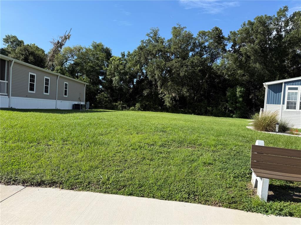 A grassy yard sits between two manufactured homes with a wooden bench in the foreground — MONET DRIVE, ZEPHYRHILLS, FL
