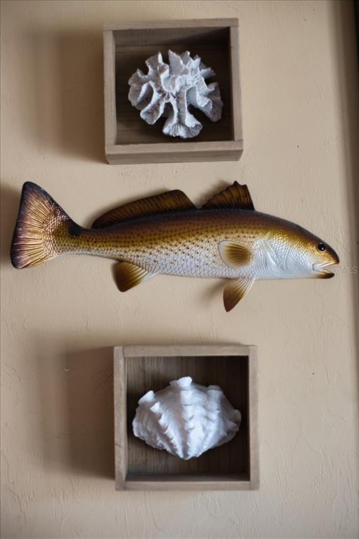 A wall display features a fish mount positioned between two wooden shadow boxes containing shells — 54 SE 910TH AVENUE UNIT 115, SUWANNEE, FL