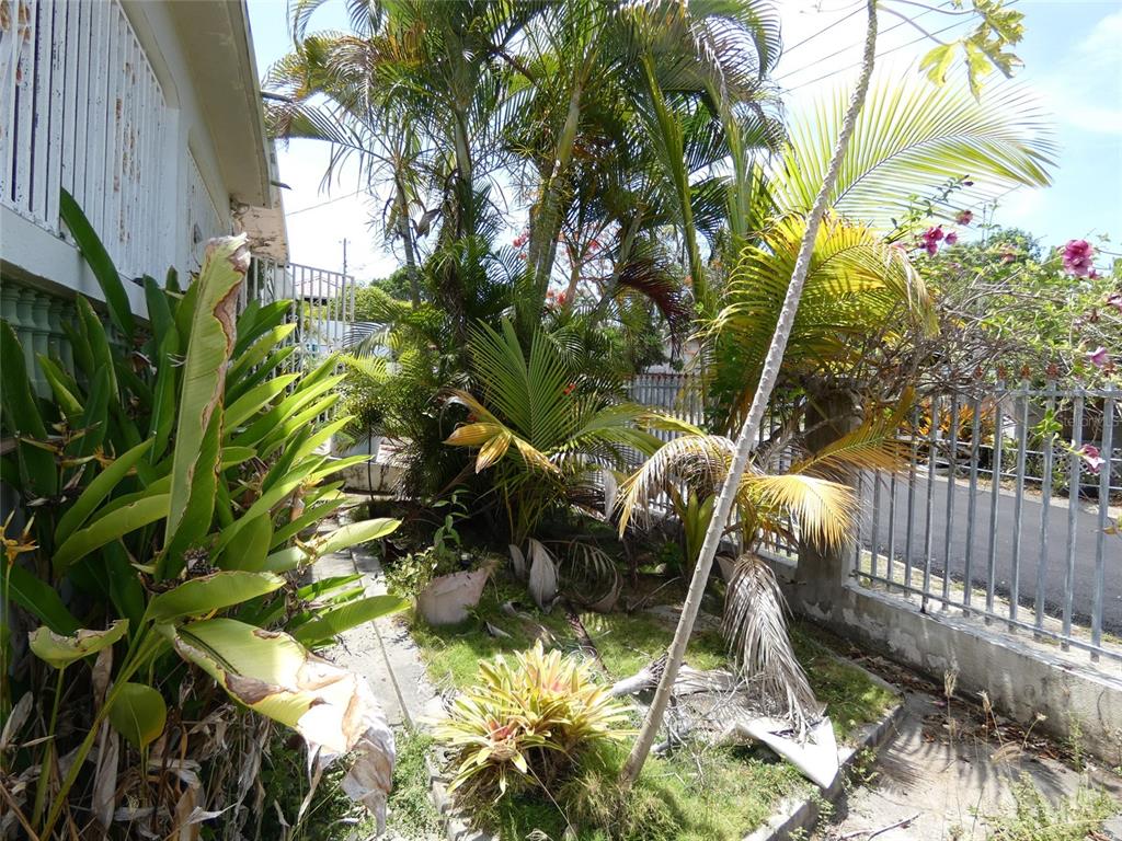 A side yard features a narrow walkway, various tropical plants, and a metal fence — 491 CALLE GLADIOLA, VIEQUES, PR