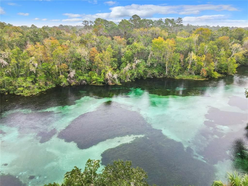 An aerial view shows a clear, turquoise spring-fed river bordered by a dense, lush forest — 9000 SW 203RD COURT, DUNNELLON, FL