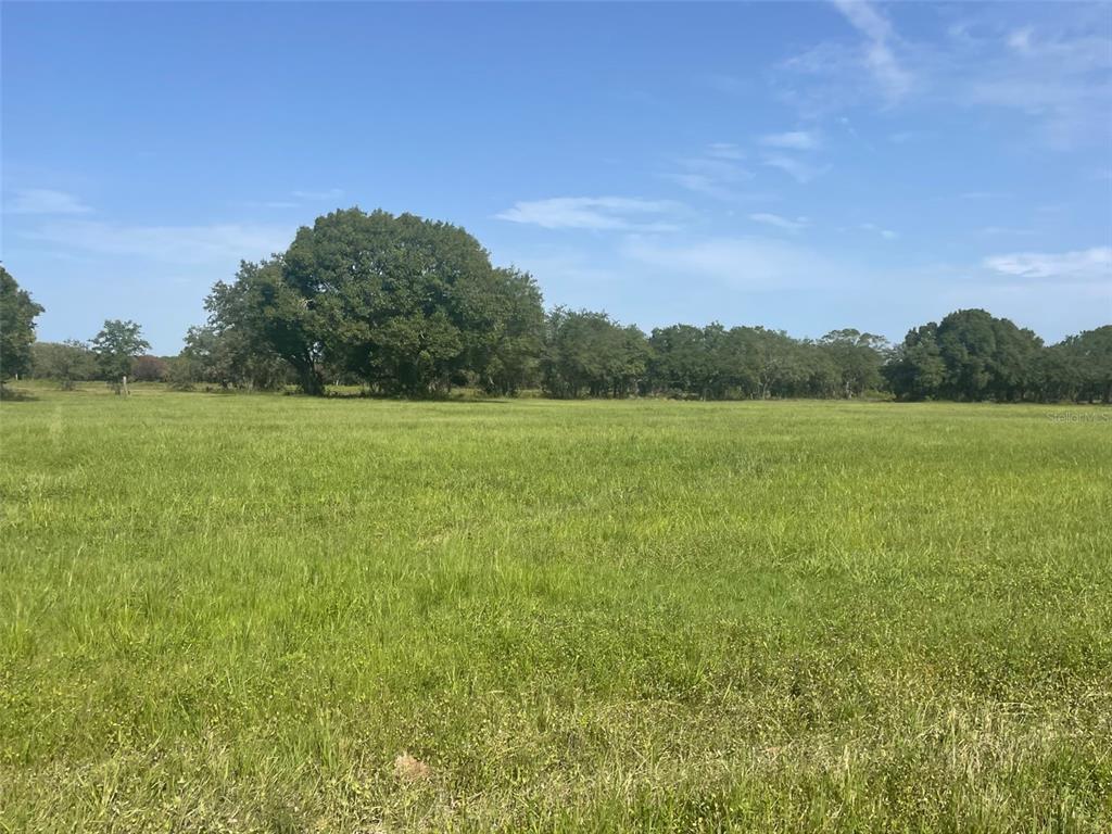 22100 HILL GRADE ROAD, CLEWISTON, FL — photo 3 of 6