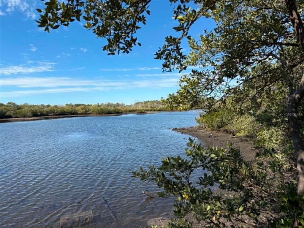 A view of a calm waterway bordered by mangroves and a muddy shoreline — 1348 S ESTUARY DRIVE, CRYSTAL RIVER, FL