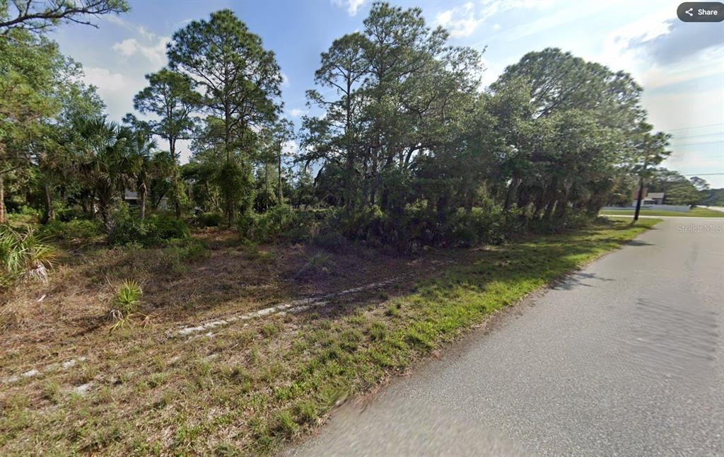 A vacant, wooded lot sits beside a paved road under a blue sky — 17516 YORK AVENUE, PORT CHARLOTTE, FL