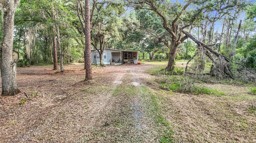 A single-story mobile home sits on a wooded lot at the end of a dirt driveway — 38625 COUNTY LINE ROAD, ZEPHYRHILLS, FL