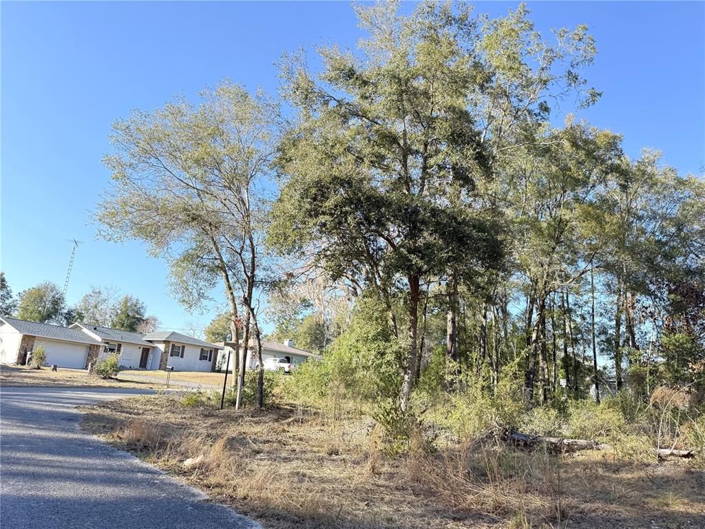 15331 NE 3RD LANE, WILLISTON, FL — photo 2 of 6