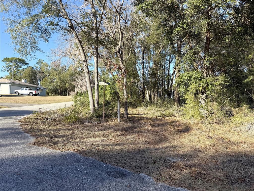 15331 NE 3RD LANE, WILLISTON, FL — photo 3 of 6