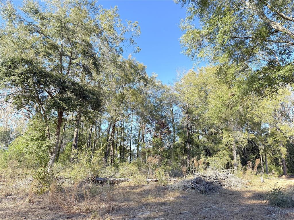 15331 NE 3RD LANE, WILLISTON, FL — photo 4 of 6